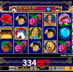 334bet Rio de Janeiro - Bonus Terms